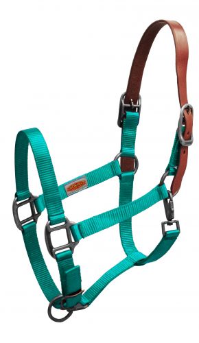 Premium Breakaway Halter