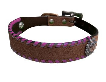 Showman Leather Dog Collar