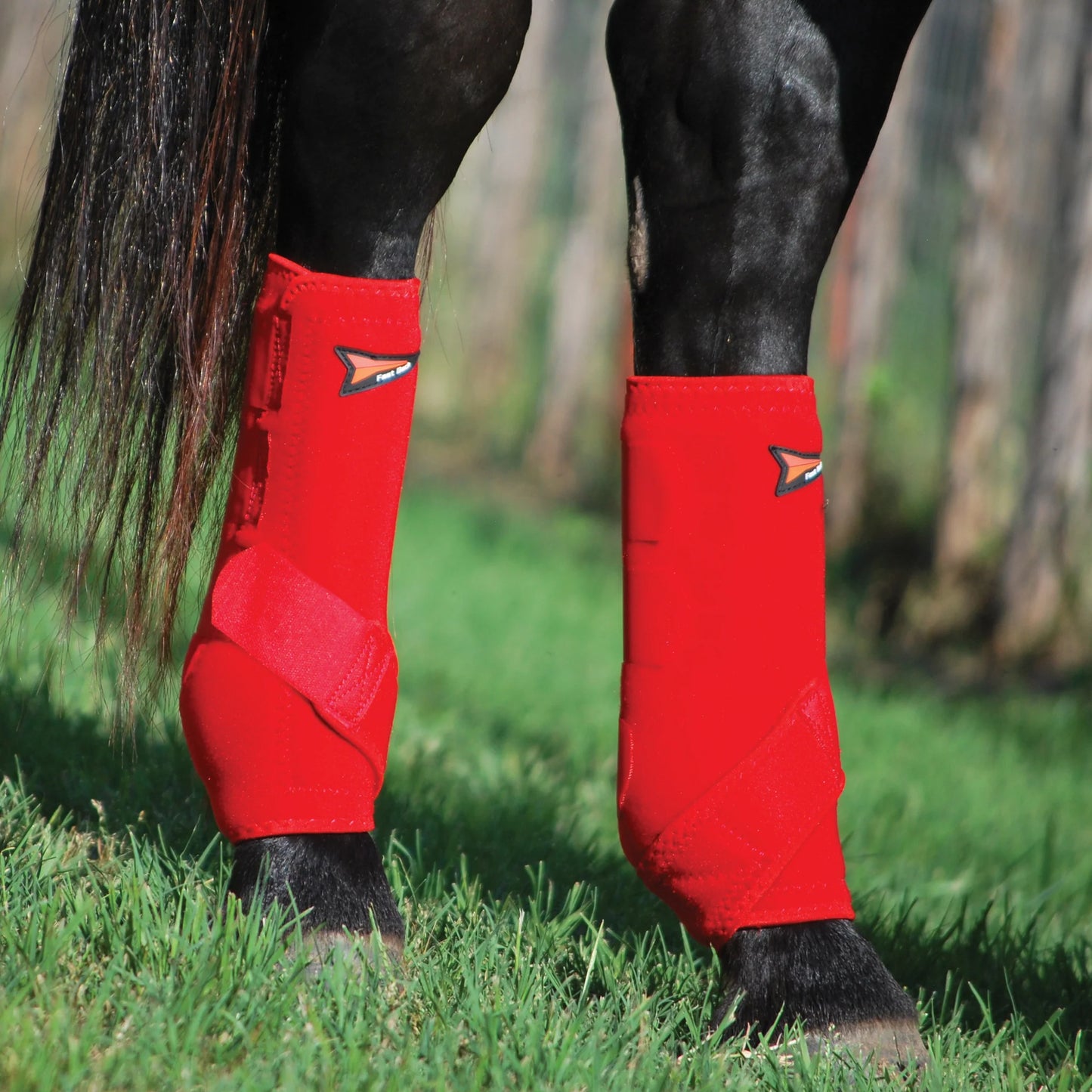 Hind Sport Boot MED