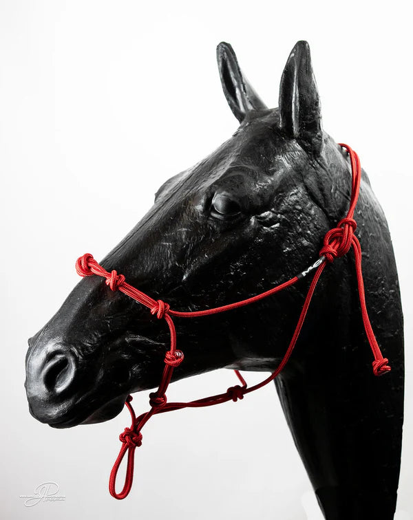 "The Magic Halter" MG Knotted Halter