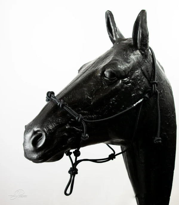 "The Magic Halter" MG Knotted Halter