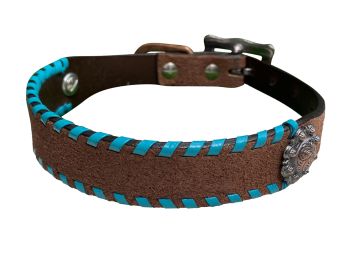 Showman Leather Dog Collar