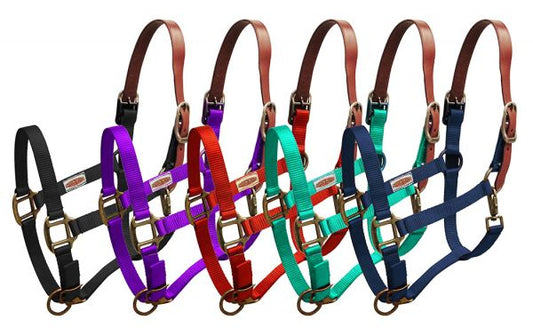 Premium Breakaway Halter