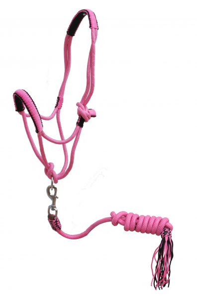 Pony Braided rope halter/lead