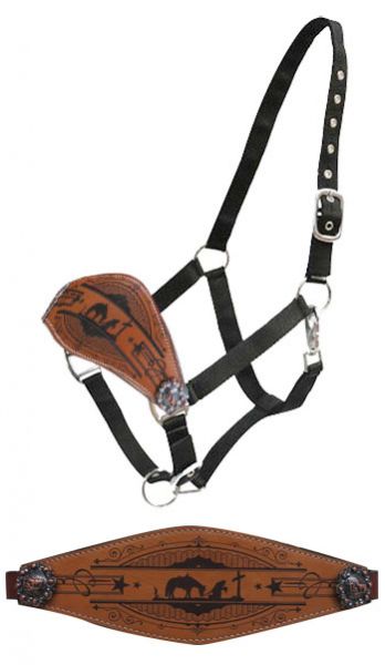 Praying cowboy bronc nose halter