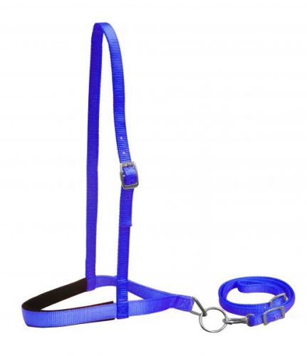 Premium Nylon Pony Tie Down
