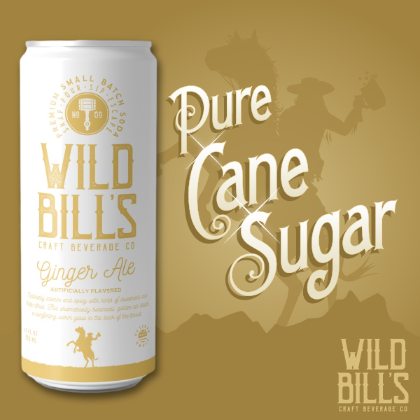 Ginger Ale - Premium Cane Sugar Soda, 12-Pack, Cans