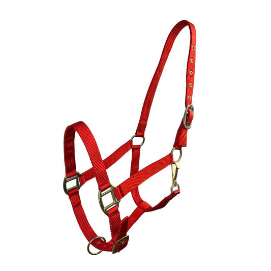 Cob Size Triple Ply Nylon Halter with Brass Hardware