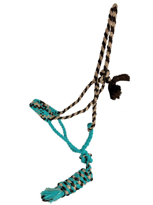Braided Mule Tape Halter - brown and teal