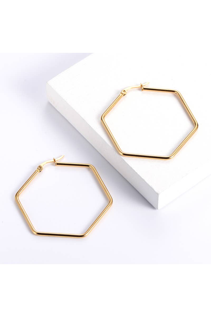 18K GOLD PLATED STAINLESS STEEL EARRINGs