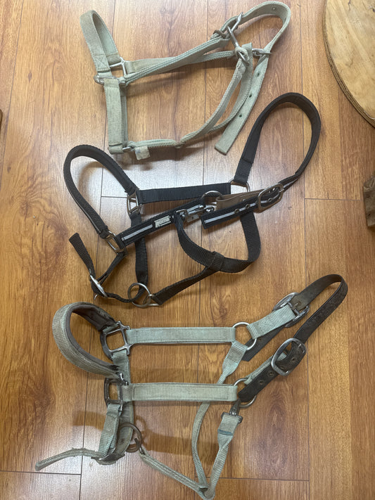 3 Used halters