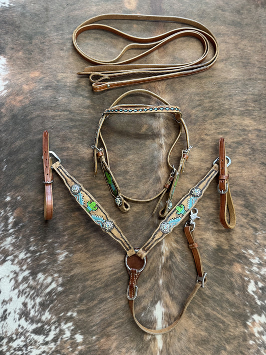 Mini Pony Cactus Set