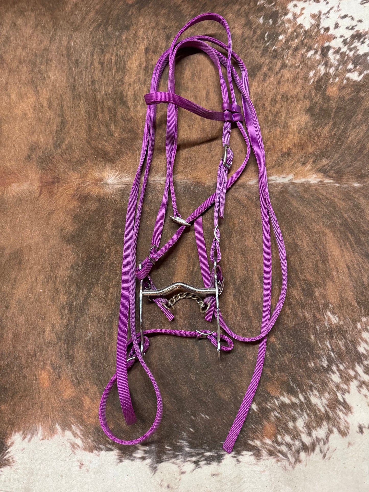 Nylon Purple Bridle Fully Assembled