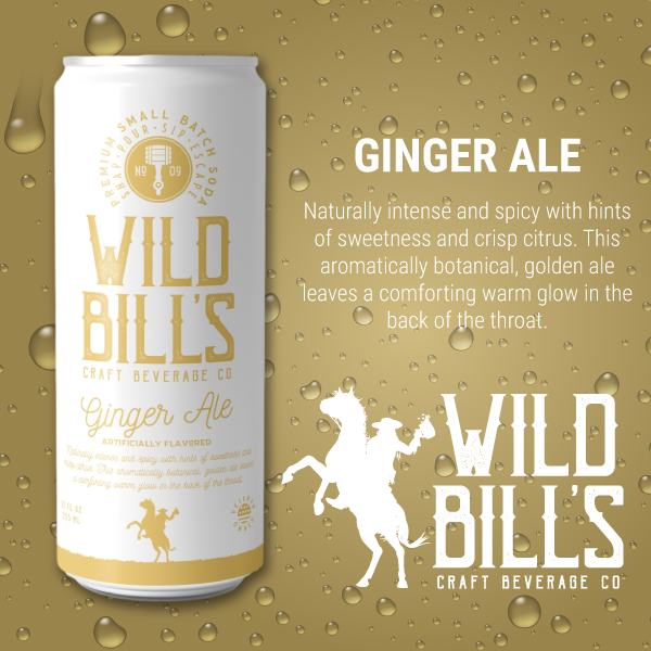 Ginger Ale - Premium Cane Sugar Soda, 12-Pack, Cans