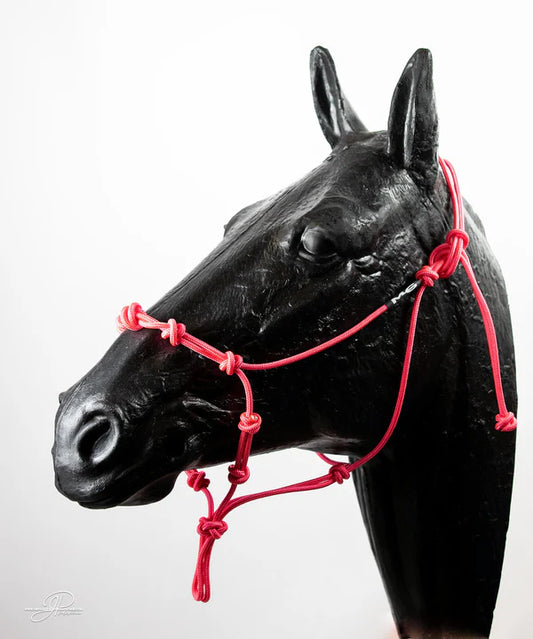 "The Magic Halter" MG Knotted Halter
